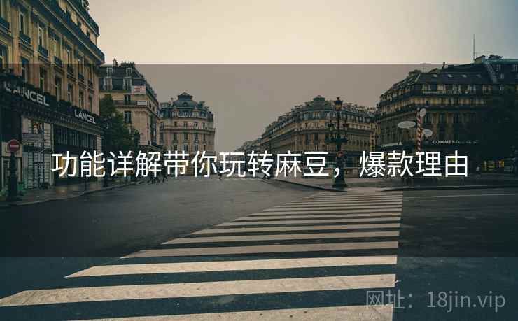 功能详解带你玩转麻豆，爆款理由