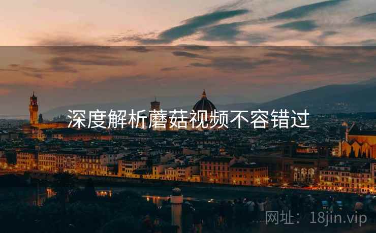 深度解析蘑菇视频不容错过