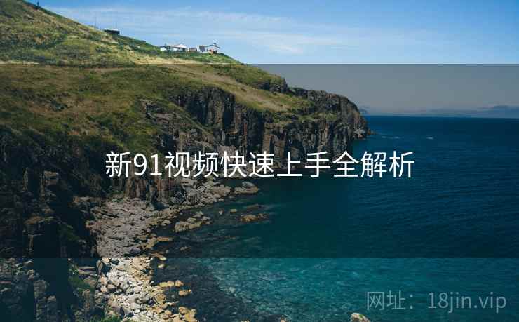 新91视频快速上手全解析