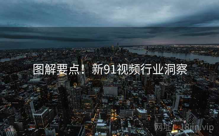 图解要点！新91视频行业洞察