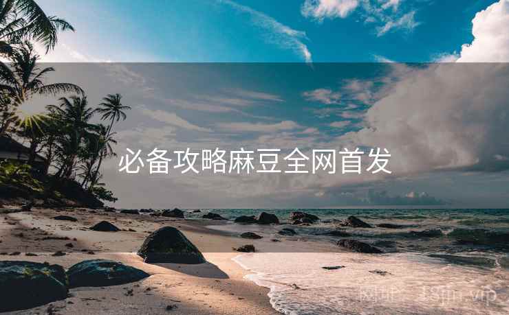 必备攻略麻豆全网首发