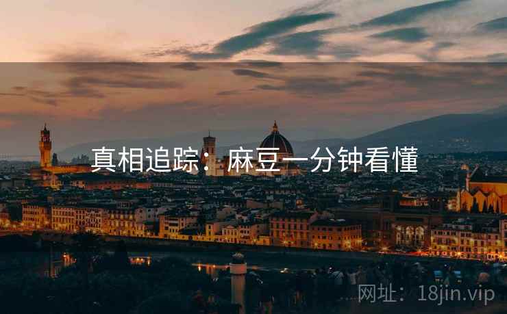 真相追踪：麻豆一分钟看懂