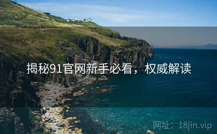 揭秘91官网新手必看，权威解读