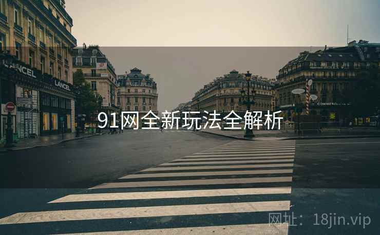 91网全新玩法全解析