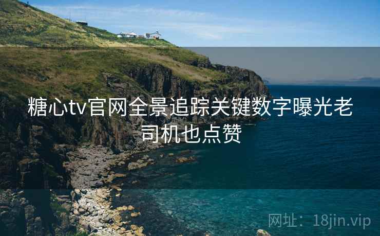 糖心tv官网全景追踪关键数字曝光老司机也点赞