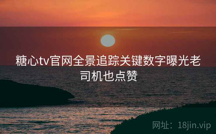 糖心tv官网全景追踪关键数字曝光老司机也点赞