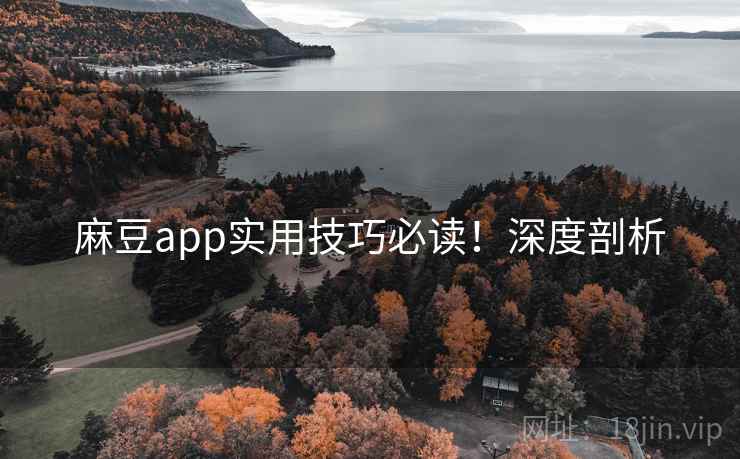 麻豆app实用技巧必读！深度剖析