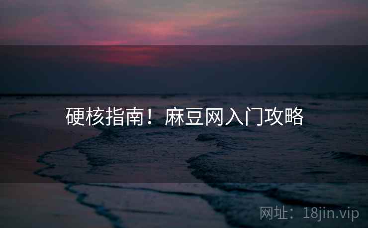 硬核指南！麻豆网入门攻略