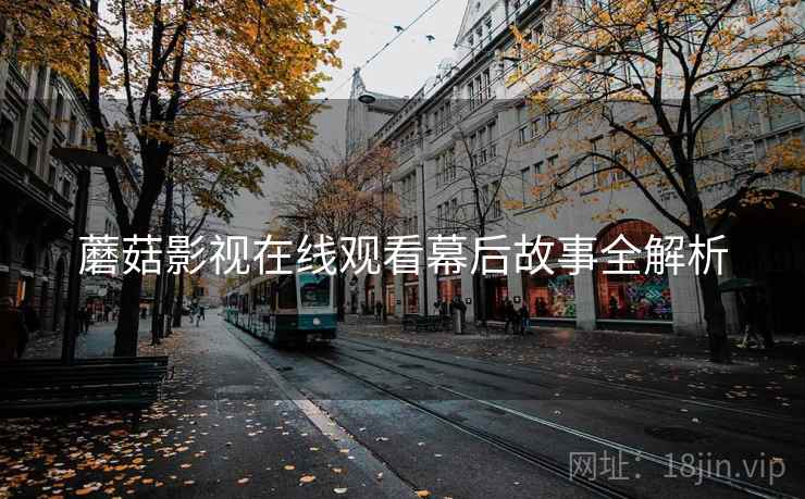 蘑菇影视在线观看幕后故事全解析