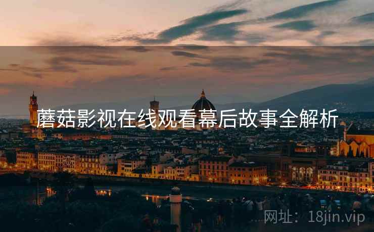 蘑菇影视在线观看幕后故事全解析