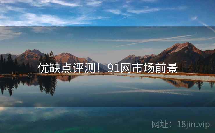 优缺点评测！91网市场前景