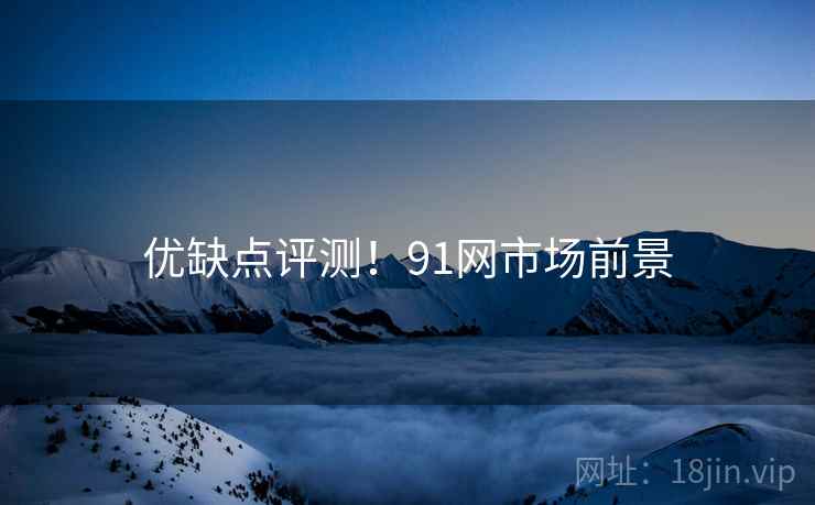 优缺点评测！91网市场前景