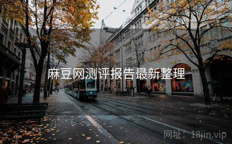 麻豆网测评报告最新整理