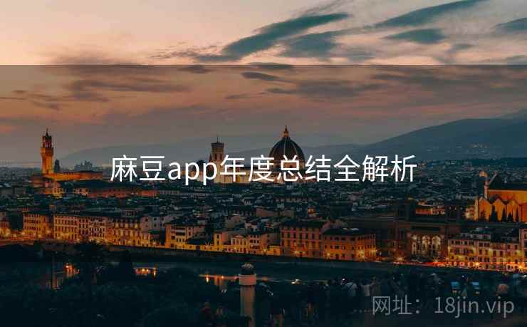 麻豆app年度总结全解析