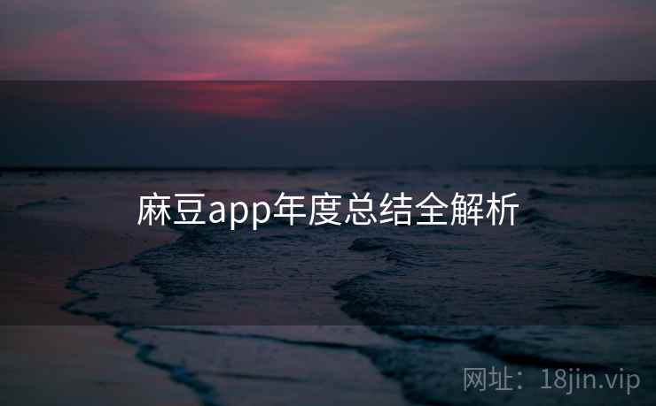麻豆app年度总结全解析