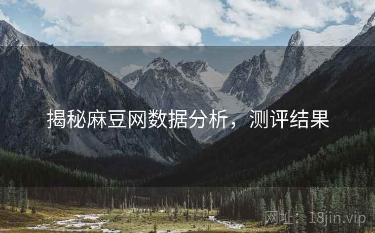 揭秘麻豆网数据分析，测评结果