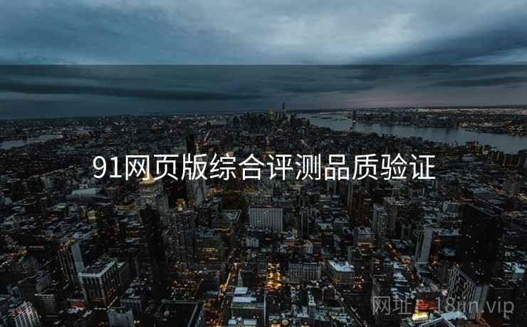91网页版综合评测品质验证