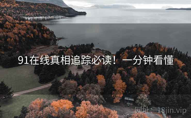 91在线真相追踪必读！一分钟看懂