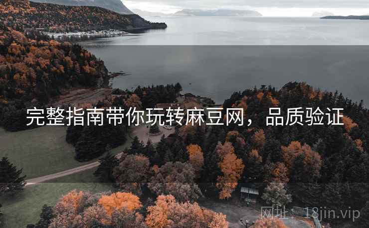 完整指南带你玩转麻豆网，品质验证