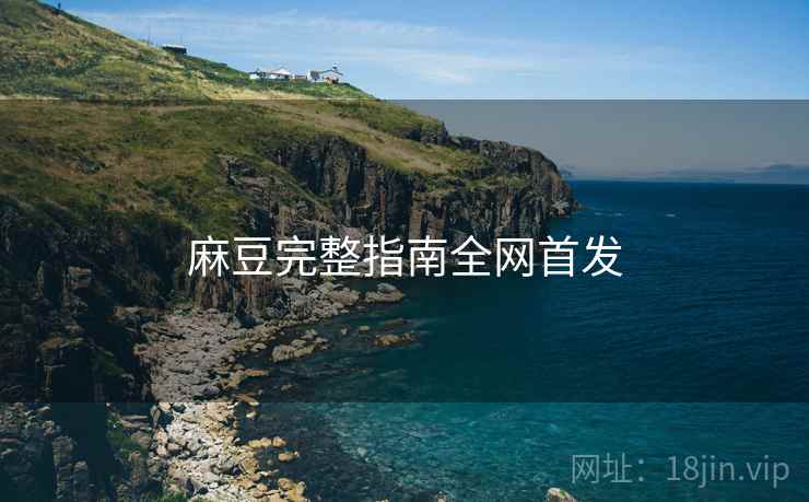 麻豆完整指南全网首发