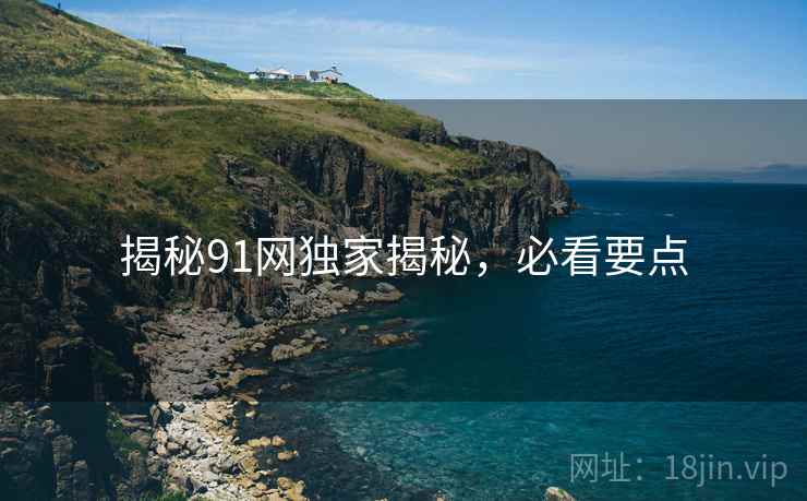 揭秘91网独家揭秘，必看要点