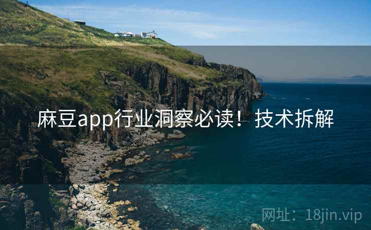 麻豆app行业洞察必读！技术拆解