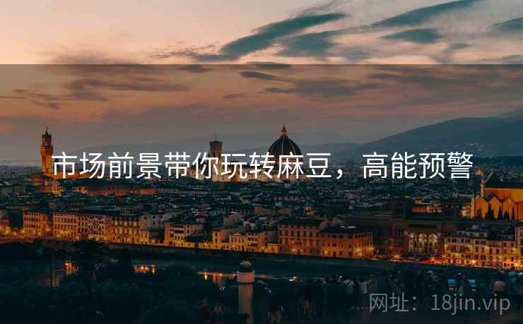 市场前景带你玩转麻豆，高能预警
