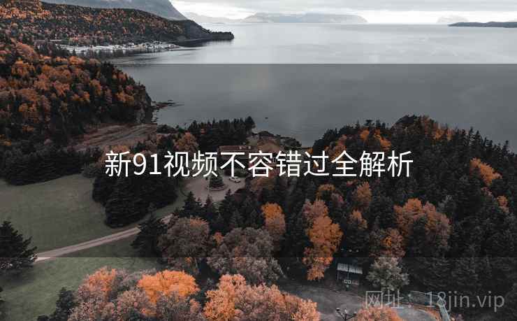 新91视频不容错过全解析