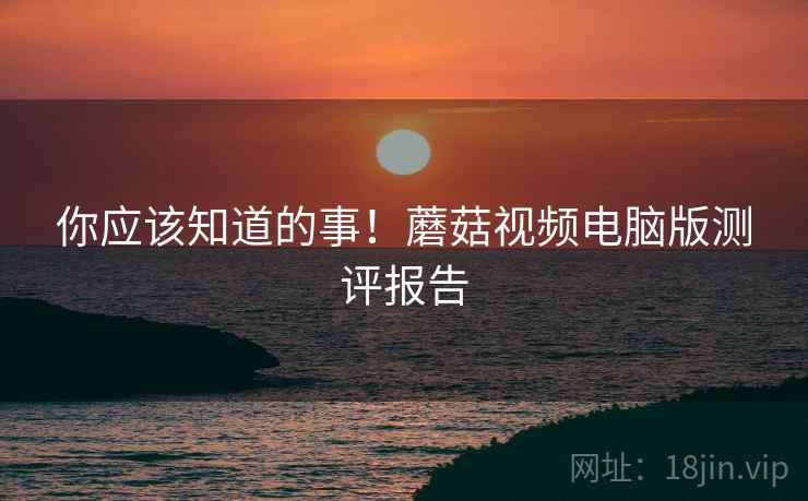 你应该知道的事！蘑菇视频电脑版测评报告