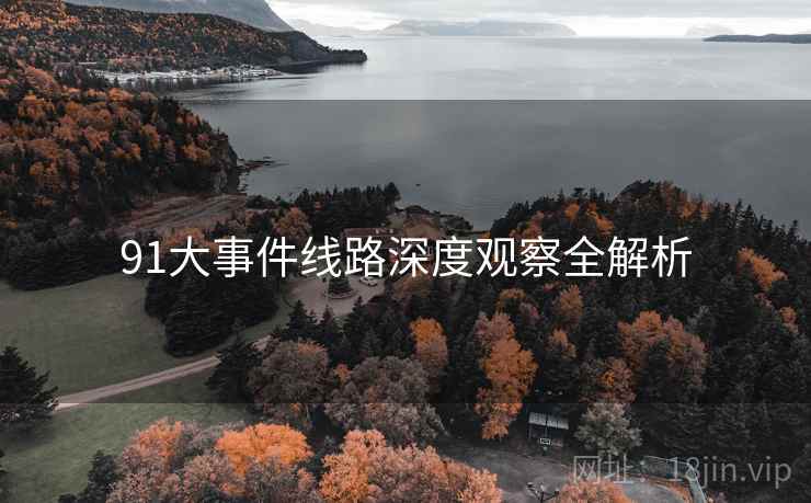 91大事件线路深度观察全解析