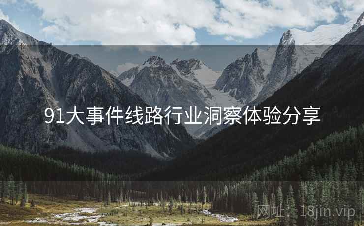 91大事件线路行业洞察体验分享