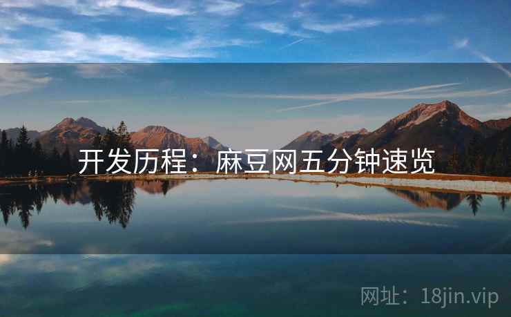 开发历程：麻豆网五分钟速览