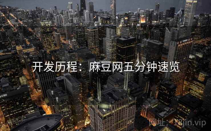 开发历程：麻豆网五分钟速览