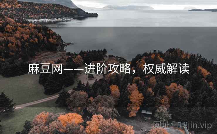 麻豆网——进阶攻略，权威解读