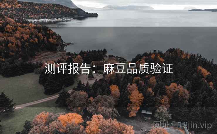 测评报告：麻豆品质验证