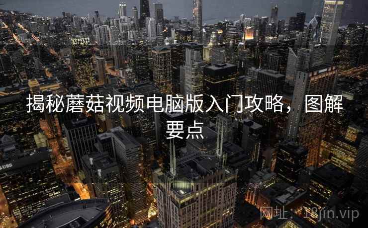揭秘蘑菇视频电脑版入门攻略，图解要点