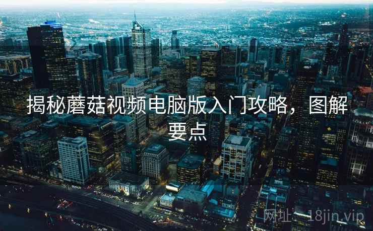 揭秘蘑菇视频电脑版入门攻略，图解要点