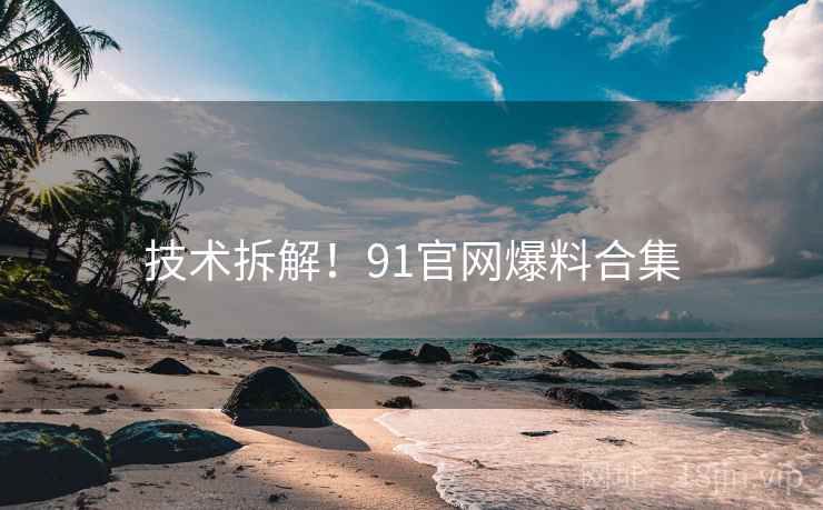 技术拆解！91官网爆料合集