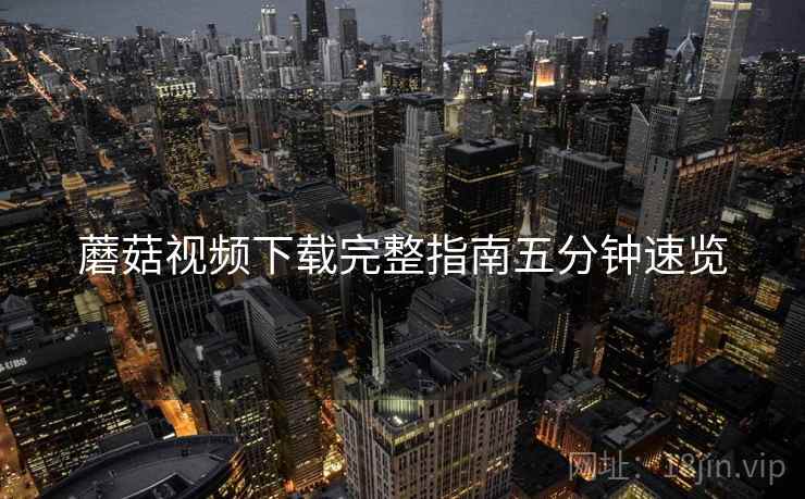 蘑菇视频下载完整指南五分钟速览
