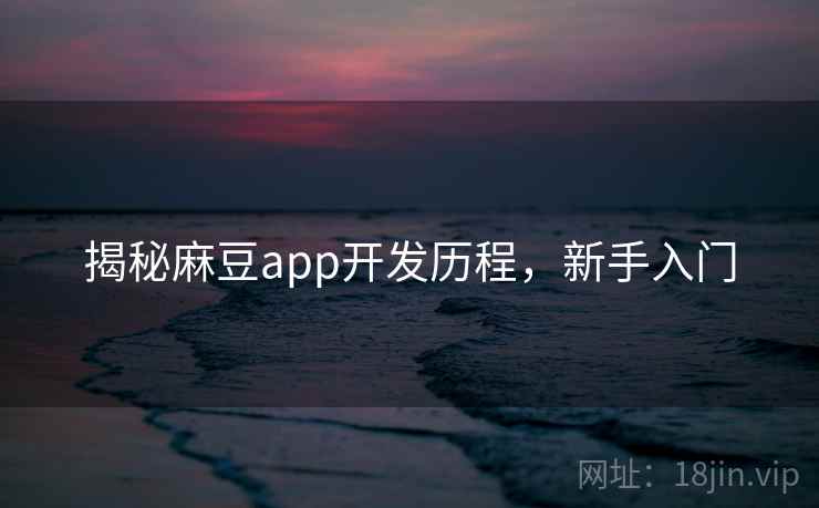揭秘麻豆app开发历程，新手入门