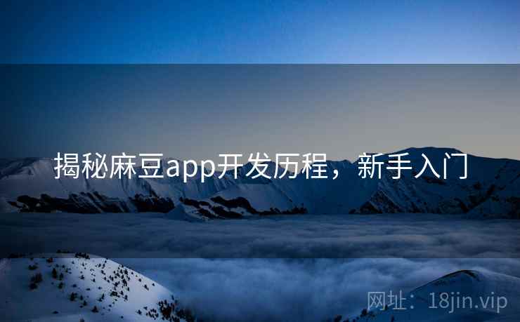 揭秘麻豆app开发历程，新手入门