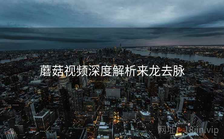 蘑菇视频深度解析来龙去脉
