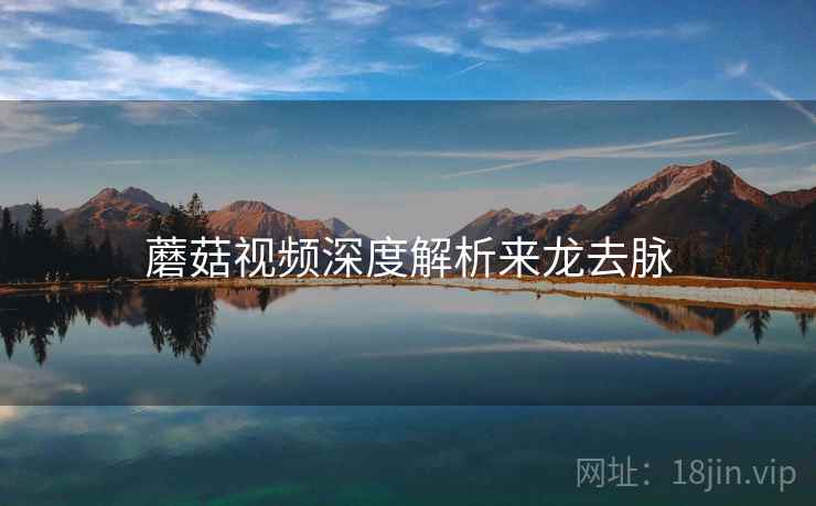 蘑菇视频深度解析来龙去脉