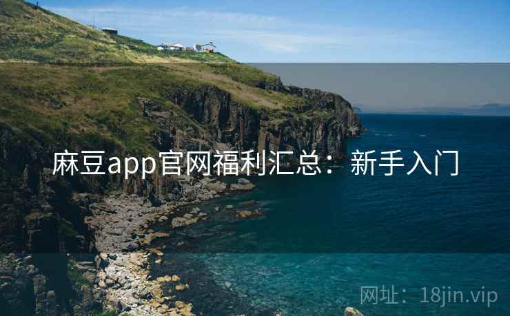 麻豆app官网福利汇总：新手入门