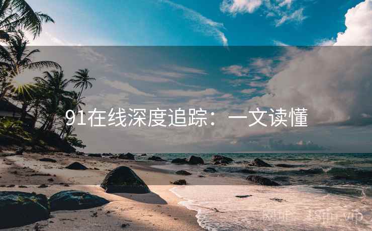 91在线深度追踪：一文读懂