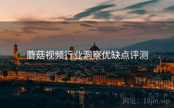 蘑菇视频行业洞察优缺点评测